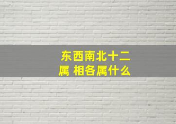 东西南北十二属 相各属什么